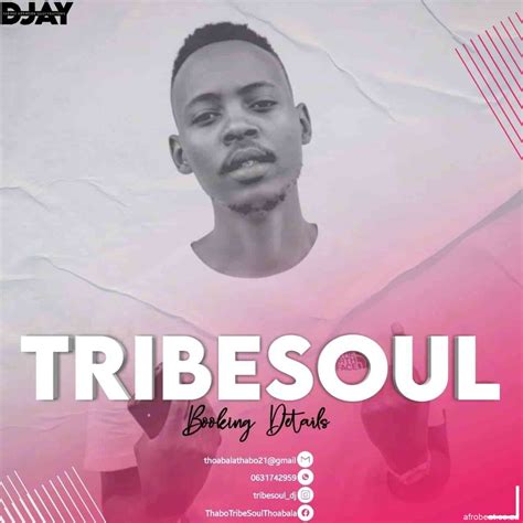 Download Download Mp3 Tribesoul And Bido Vega Crowded Private School