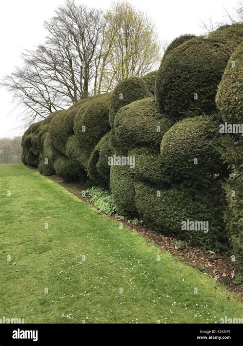 Cloud Topiary Hi Res Stock Photography And Images Alamy