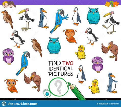 Find Two Identical Bird Pictures Game For Kids Stock