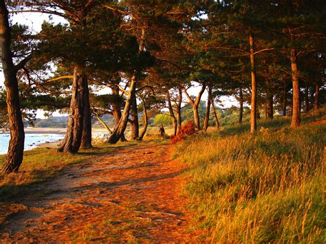 Free Images Landscape Tree Water Nature Forest Path