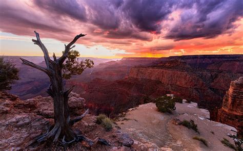 Nature Landscape Sunset Canyon Clouds Trees Grand Canyon Usa Arizona