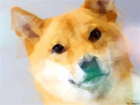 Doggo 4k Wallpaper Download