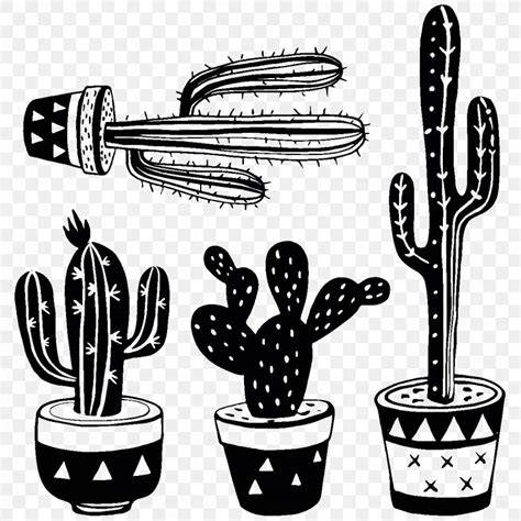 Albums 105 Pictures Black And White Cactus Wallpaper Full Hd 2k 4k