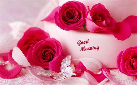 Romantic Good Morning Couple And Love Freshmorningquotes Beautiful Flowers Beautiful