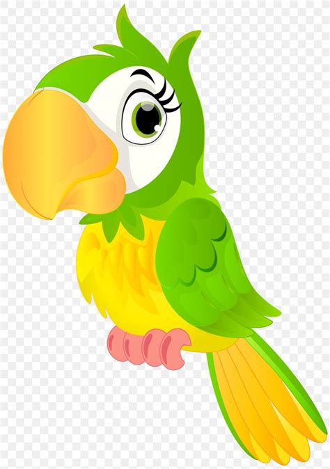 Parrot Bird Animation Cartoon Clip Art Png 5624x8000px Parrot