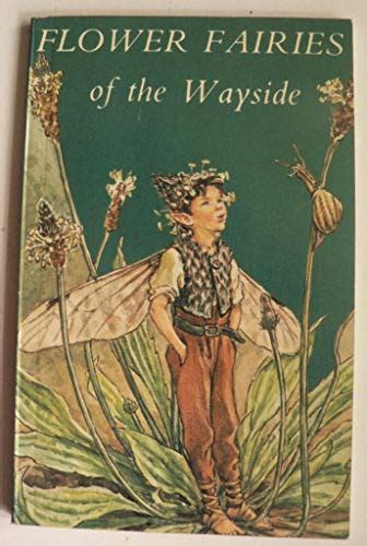 Flower Fairies Of The Wayside By Cicely Mary Barker Used