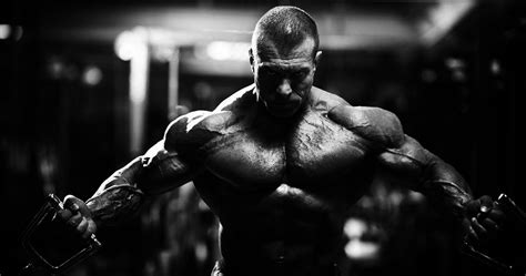Bodybuilder, gyms, muscular, arnold schwarzenegger. Fitness Wallpapers HD | PixelsTalk.Net
