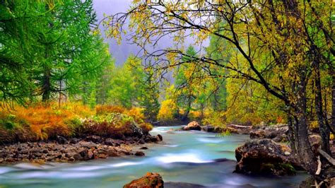Mountain River With Rocks Rocks Yellowed Grass Evergreen And Deciduous Trees Beautiful Hd