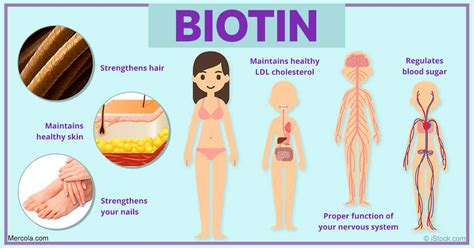 Common Signs And Symptoms Of Biotin Deficiency With Images Biotin My Xxx Hot Girl