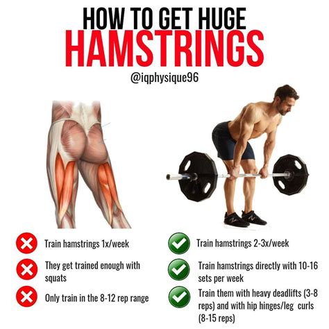 Will 4 Exercises Build And Strengthen Glutes And Hamstrings Yes We Have The Workout Here