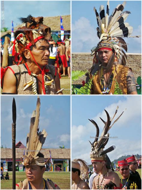 Tribe Of Dayak Borneo Konsep Terkini