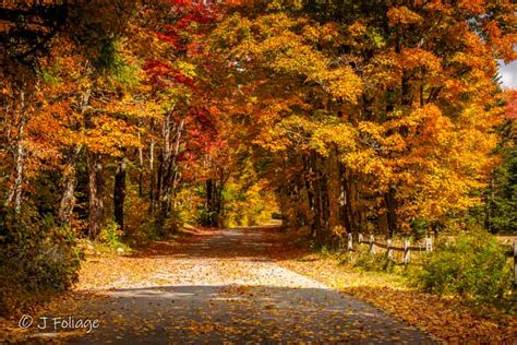 Fall Foliage Of New England New England Fall Foliage