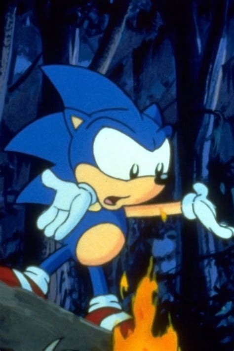 Watch Sonic The Hedgehog S1e13 Heads Or Tails 1993 Online For Free