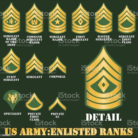 Us Army Enlisted Ranks Stock Illustration Download Image