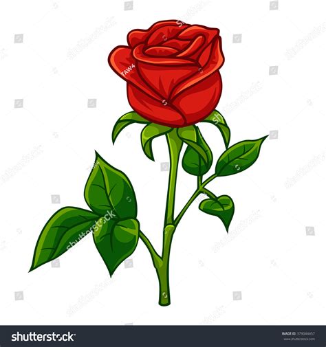 Red Rose Cartoon Style Vector Art And Illustration 379044457