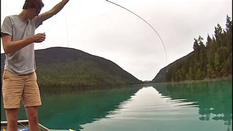 Fly Fishing Johnson Lake Bc Youtube