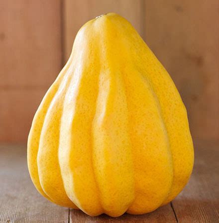 We did not find results for: Sweet Potato Squash (Thelma Sanders) (Organic ...