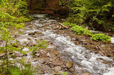 The River Is Flowing Downstream Stock Photo Containing Trees And Stones