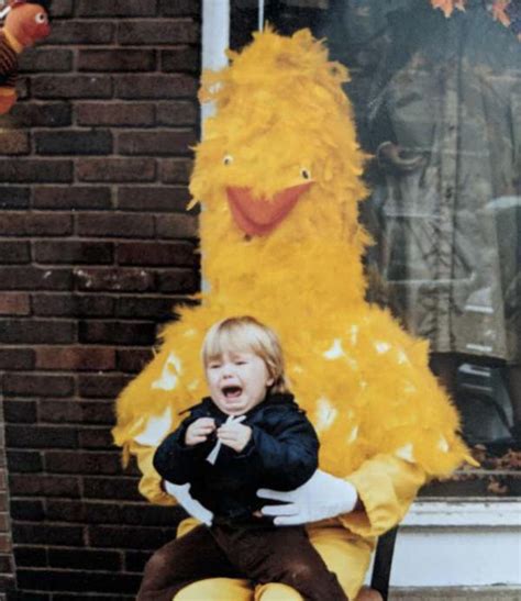 Big Bird Has Seen Better Days Meme Guy