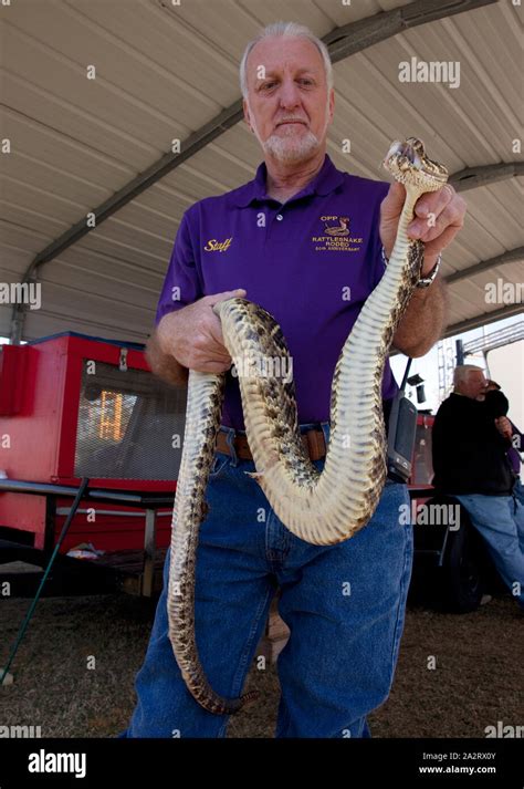Rattlesnake Rodeo In Opp Alabama Stock Photo Alamy