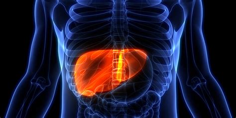 50 Alarming Liver Damage Levels Unveiling The Danger Threshold 2023