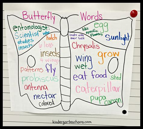 Kwl Butterfly Words Anchor Chart Kindergarten