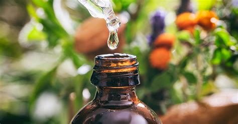 See more of essential on facebook. Aromatic Blending of Essential Oils | AromaWeb