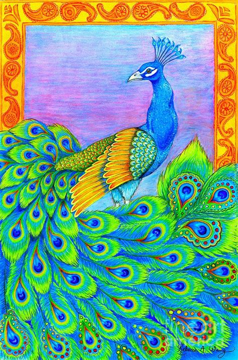 Beautiful Peacock Drawing At Paintingvalley Com Explore Collection Of