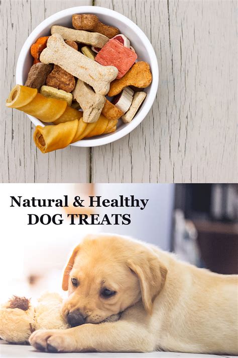 Snacks are useful for training purposes, and dogs, like everyone else, take pleasure in a good snack. Best Dog Treats For Labs