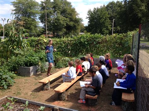 Classroom Success Story School Garden Grows Important Lessons For