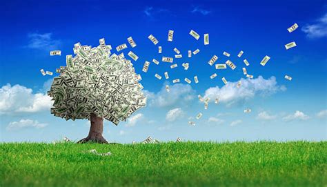 Money Tree Stock Photos Pictures And Royalty Free Images Istock