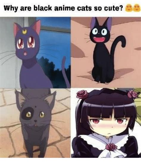 Why Are Black Anime Cats So Cute Anime Meme On Meme