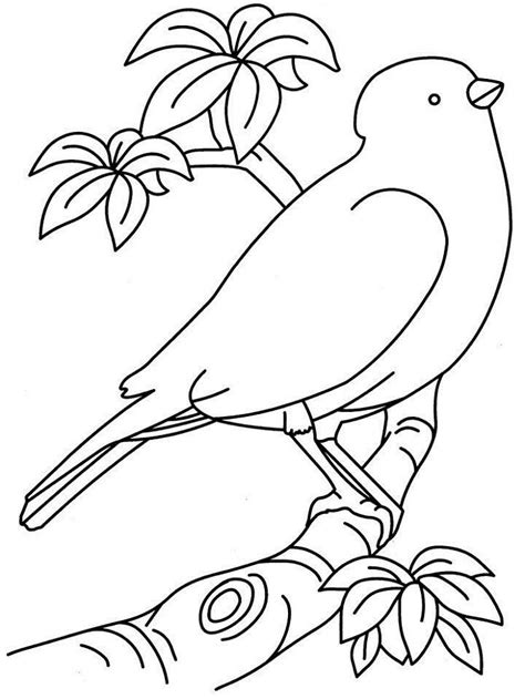 Free easy coloring pages for adults with dementia printable adult. Easy Printable Coloring Pages | Bird coloring pages ...