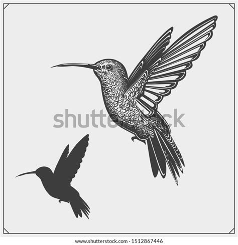 Hummingbird Colibri Bird Silhouettes Logos Emblems And Design Elements