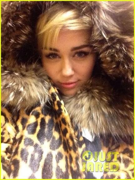 Is Miley Cyrus Pregnant Find Out The Details Here Photo 2963222