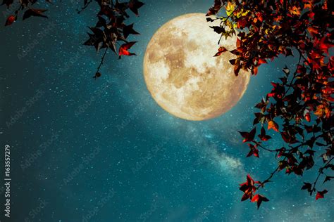 beautiful autumn fantasy maple tree in fall season and full moon with milky way star in night