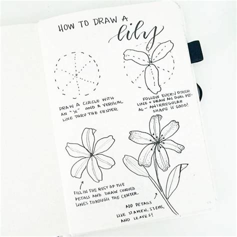 Flower Doodles Are Beautiful And Add Creative Flaire To Literally Any