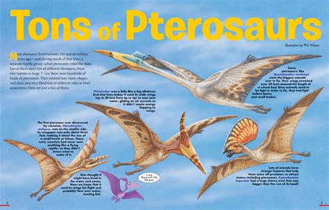 Tons Of Pterosaurs Nwf Ranger Rick