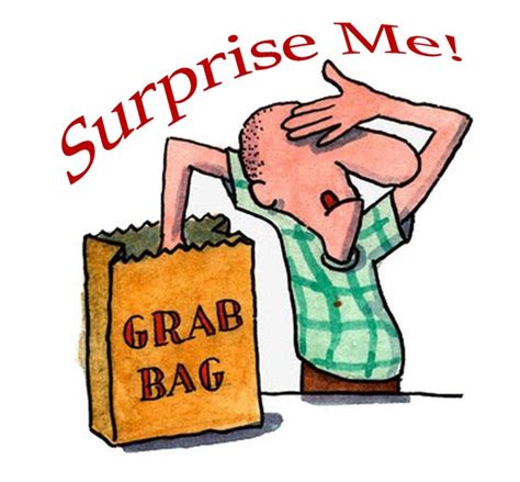 Surprise Me Grab Bag