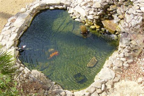 A koi pond should be 1000 gallon or bigger. 7 Most Breathtaking Koi Fish Ponds - Qnud