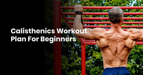 Calisthenics Workout Plan For Beginners Bodyweightheaven