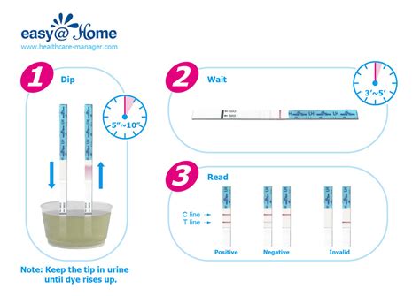 What Is An Ovulation Test And How Does It Work
