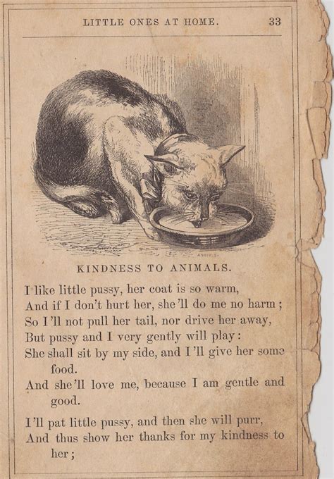 19th Century Poem About Kindness To Animals By Jane Taylor Kindness To