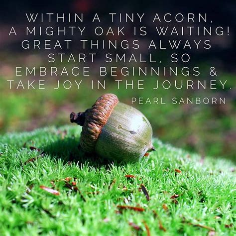 Acorns To Oaks Take Joy In The Journey A Storybook Life