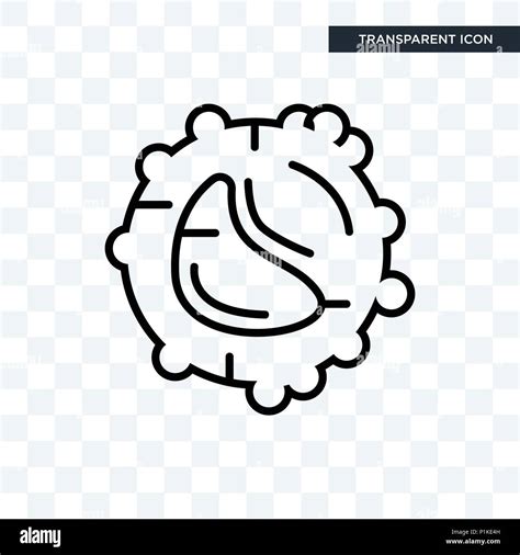 White Blood Cell Vector Icon Isolated On Transparent Background White
