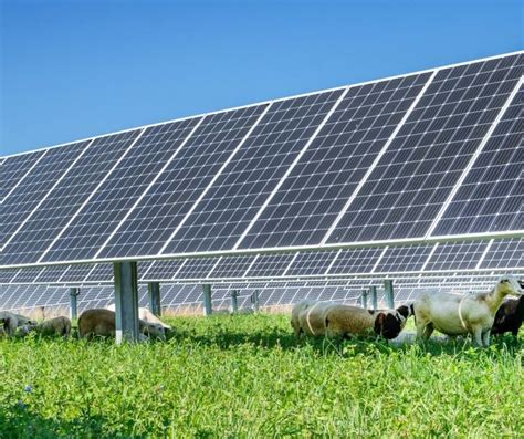 Siemens Lightsource Bp Finalize Major Solar Inverter Supply Agreement