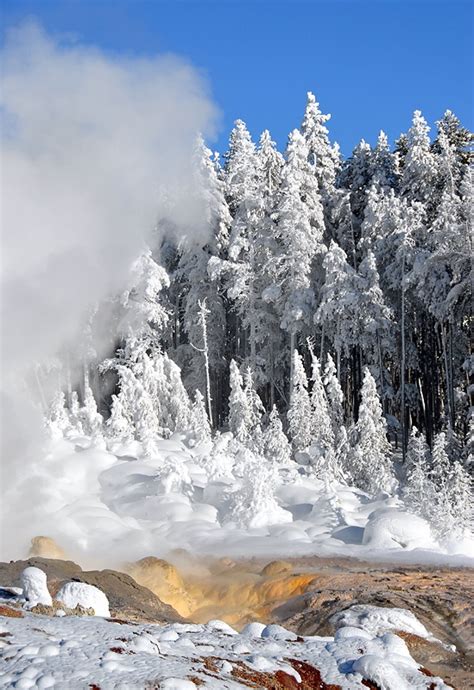 Yellowstone National Park In The Winter Something To Behold National Parks America