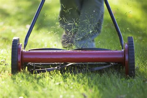 What Is A Reel Mower And How To Use It