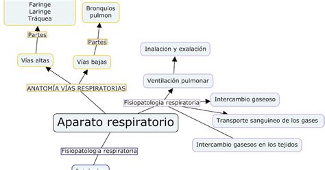 Fisiopatologia Mapa Conceptual Aparato Respiratorio