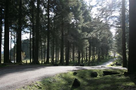 Bellever Tor And Forest Circular Walk Bellever Dartmoor National Park